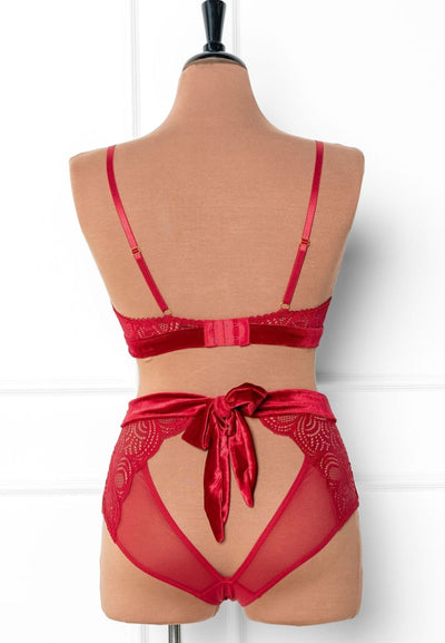 Lace & Velvet Caged Bralette - Red - Mentionables