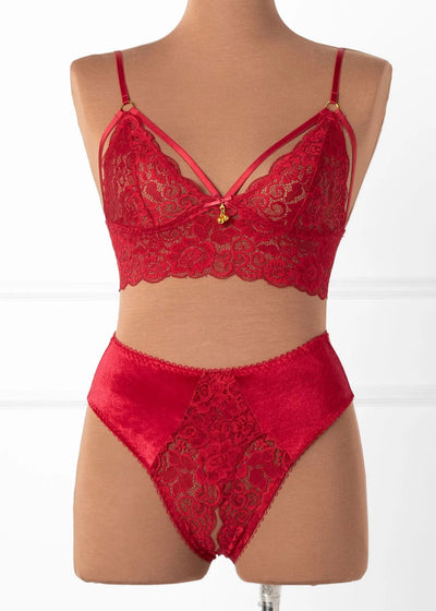 Lace & Velvet Crotchless Hipster Panty - Red