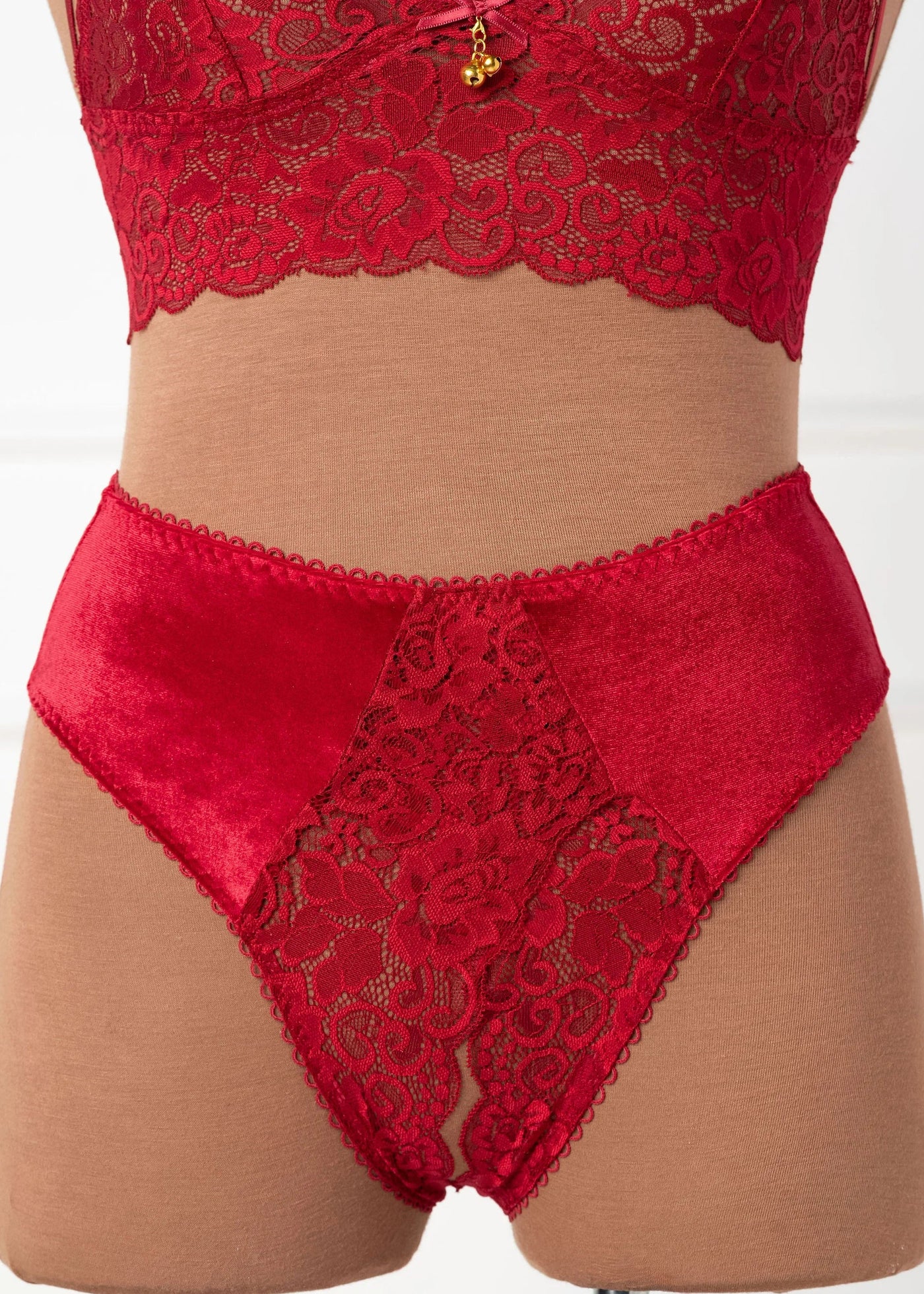 Lace & Velvet Crotchless Hipster Panty - Red